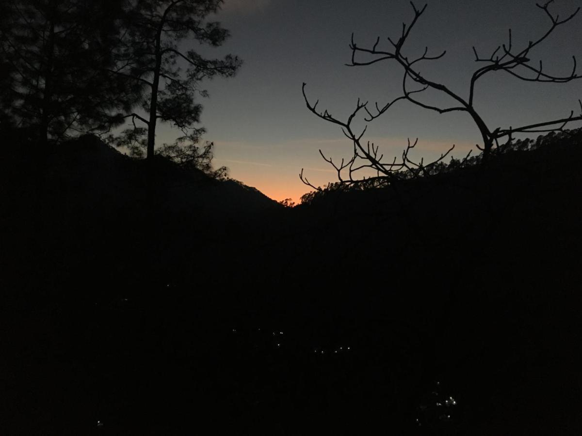 Forest Acres Camps Mukteshwar Buitenkant foto